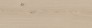 SANDWOOD CREAM 18,5X59,8
